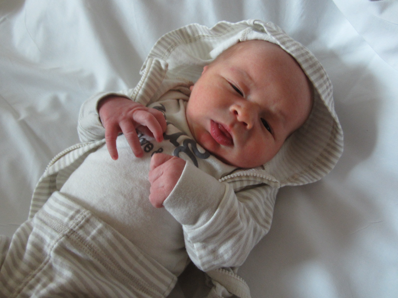 Emmett Rose