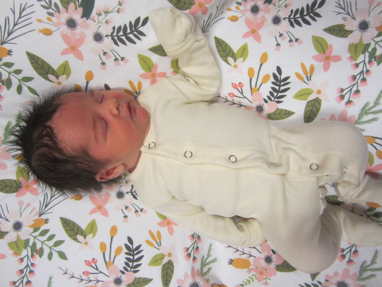 Drew Everly