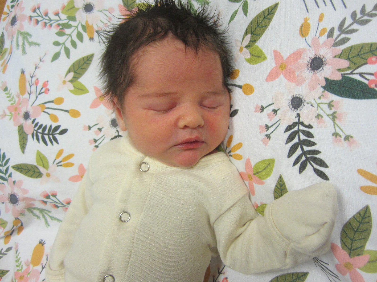 Drew Everly
