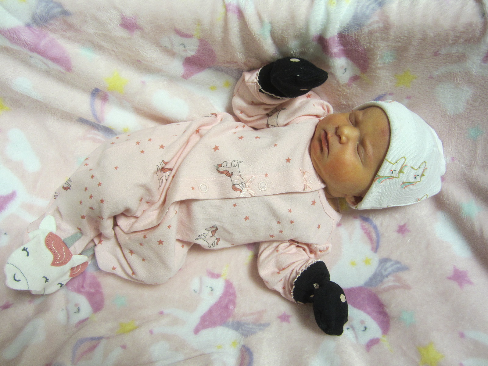 Jaylynn Mindy Sue