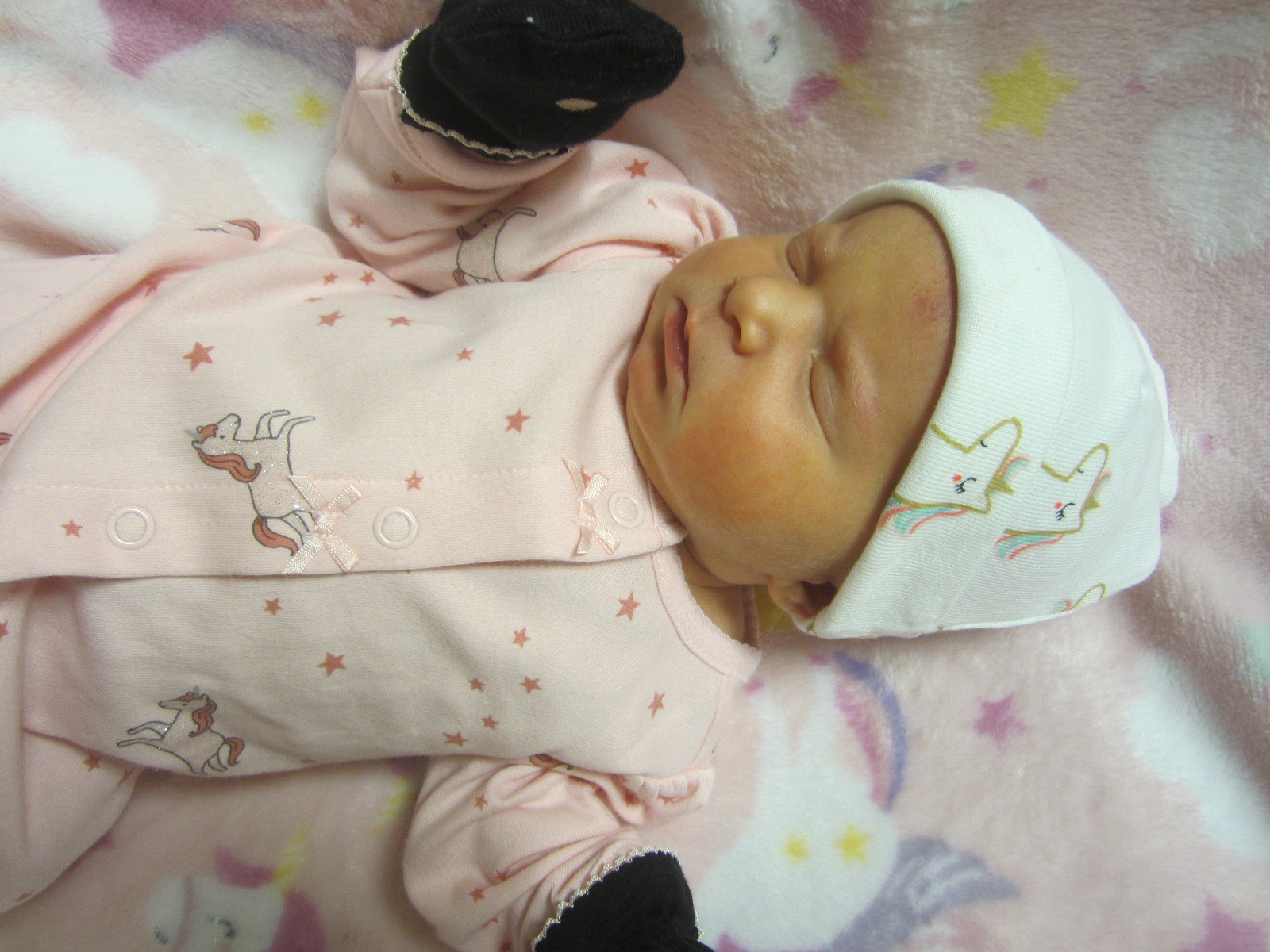 Jaylynn Mindy Sue
