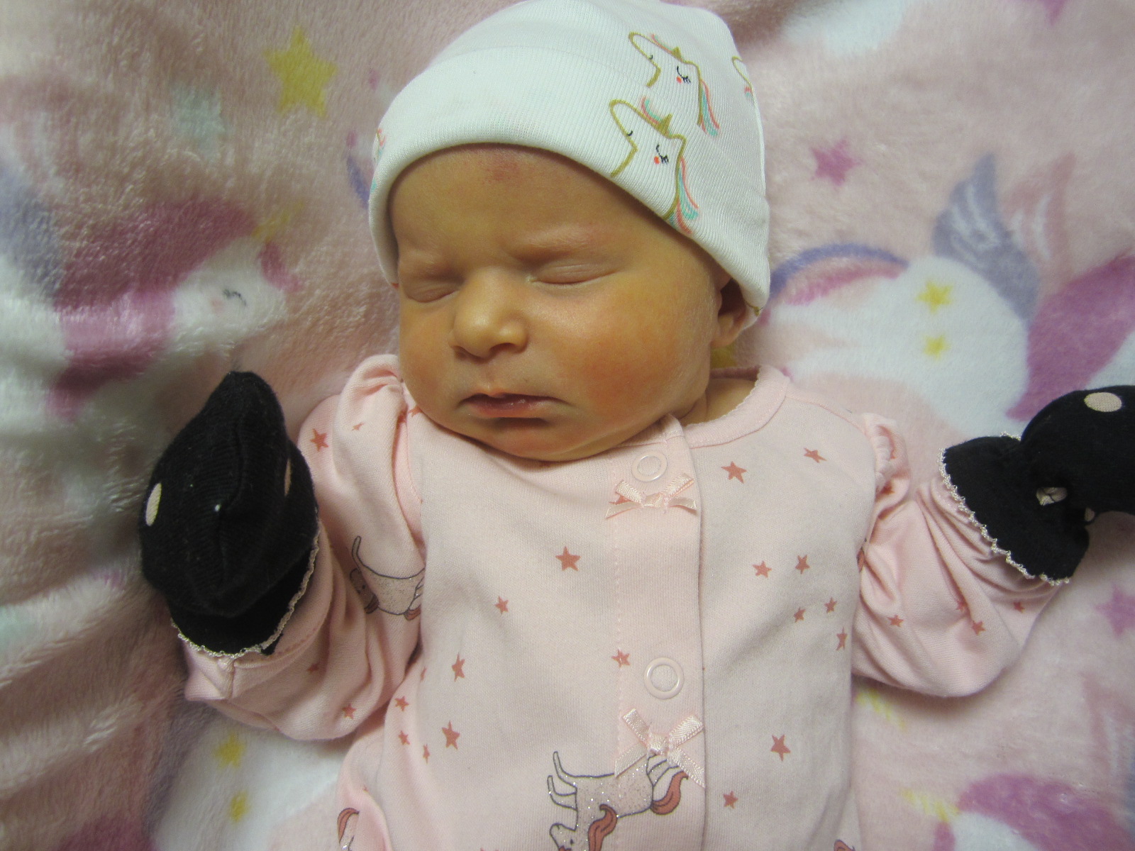 Jaylynn Mindy Sue