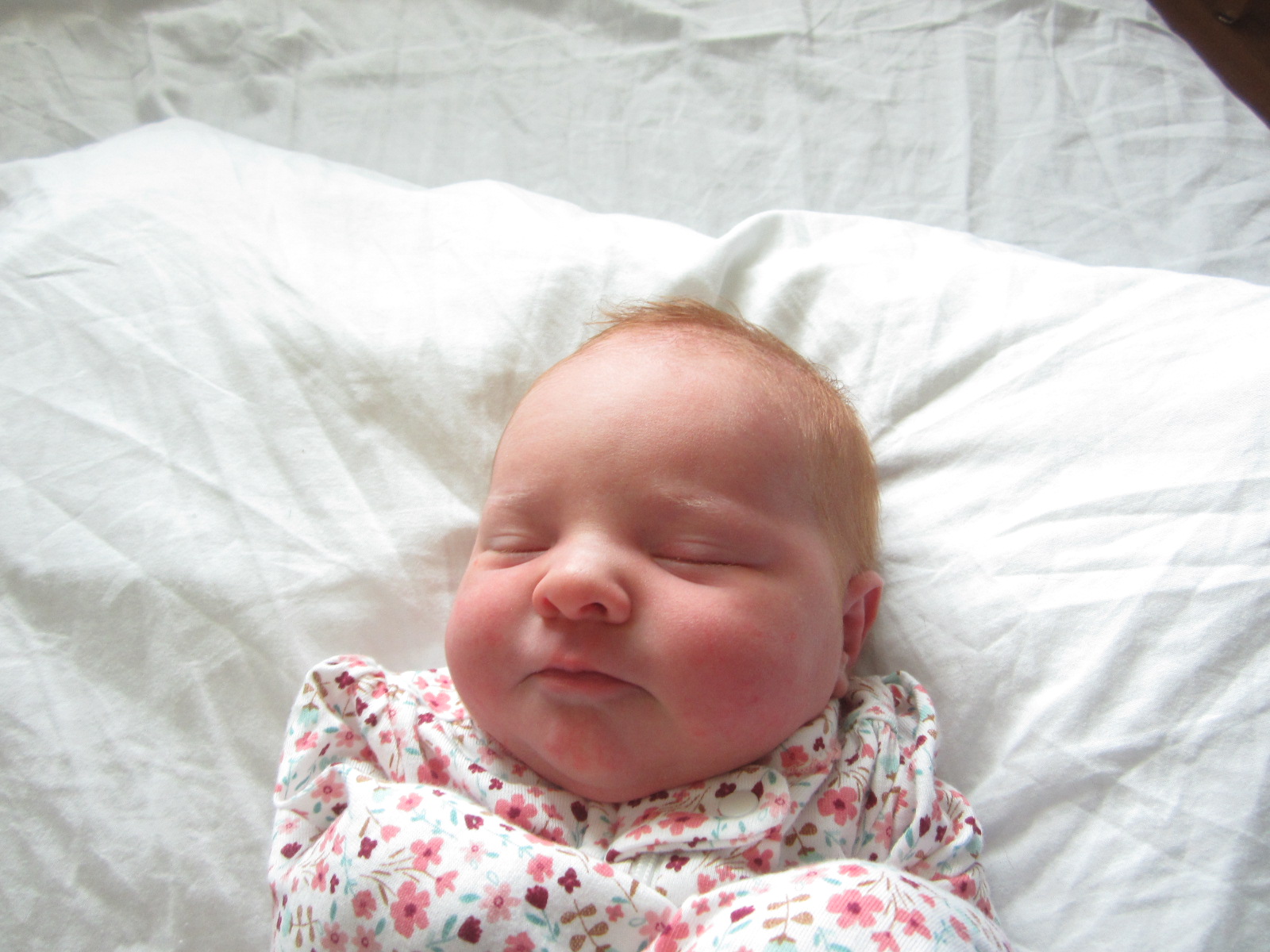 Norah Gene