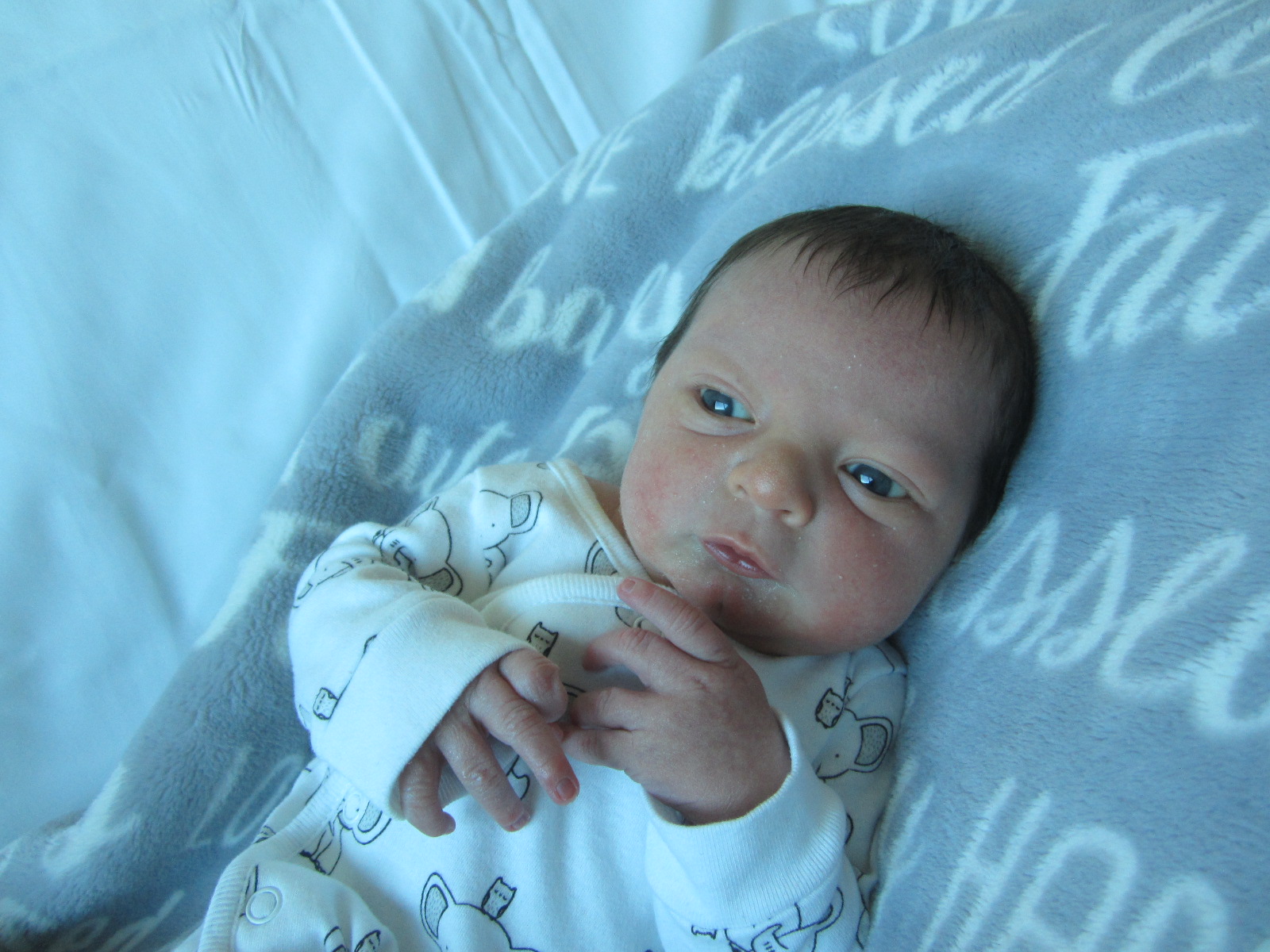 Cannon Cole