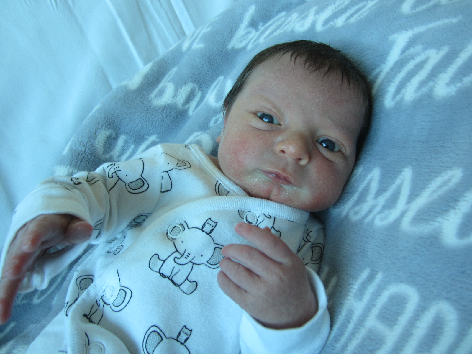 Cannon Cole