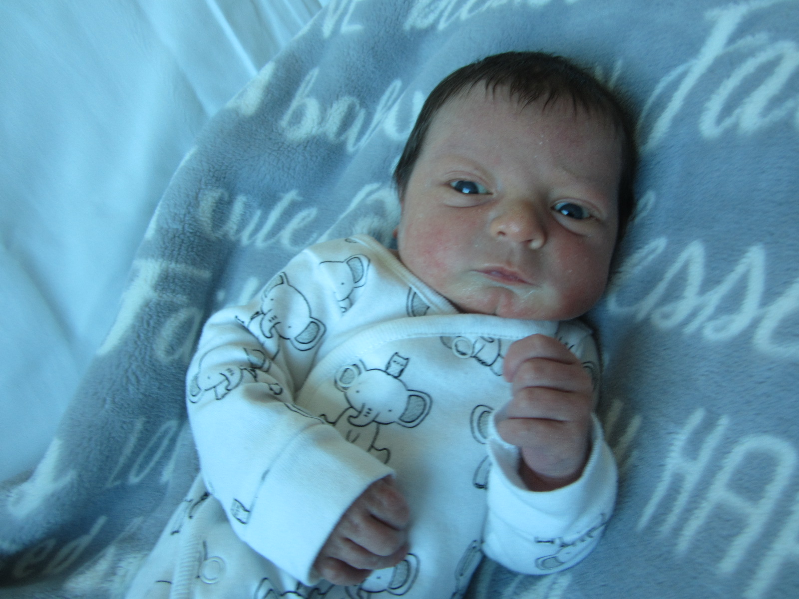 Cannon Cole