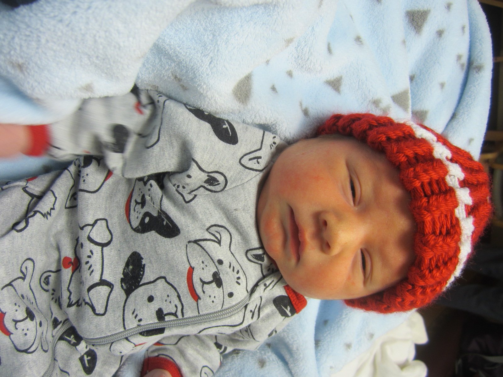 Tucker Dwaine