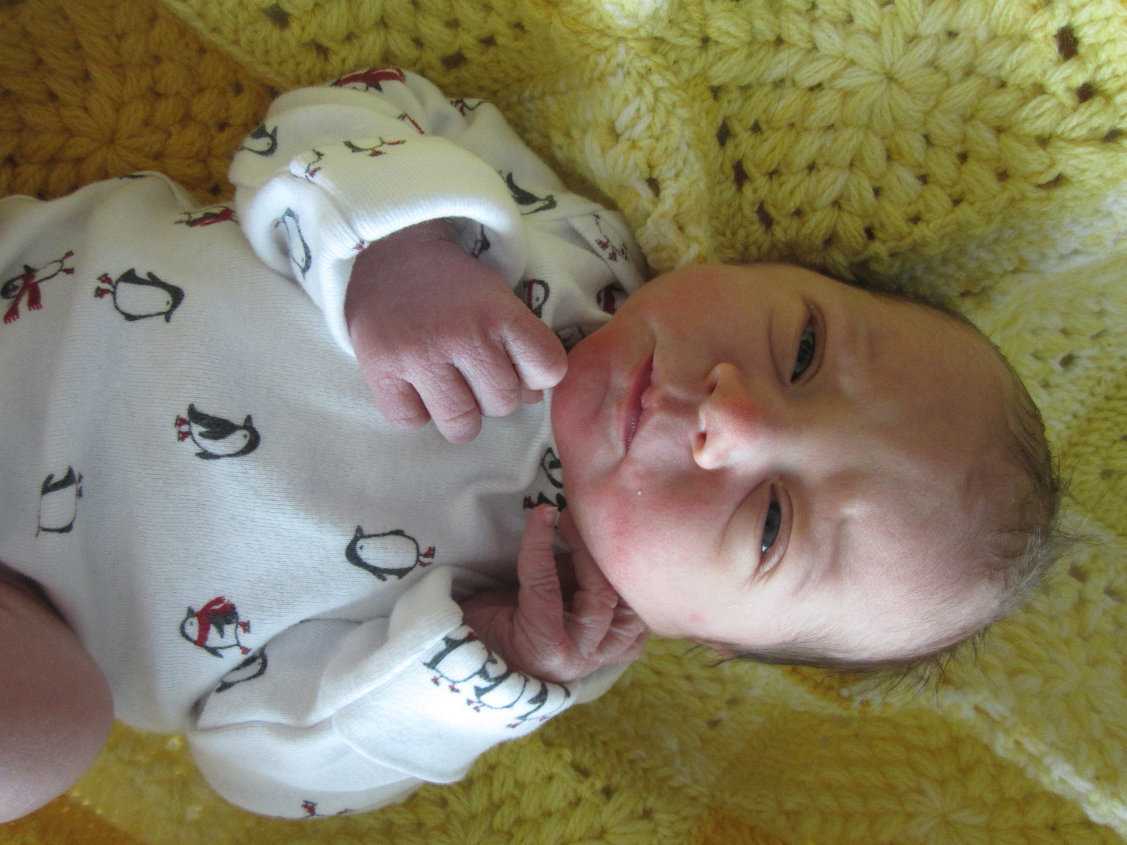 Connor Alan