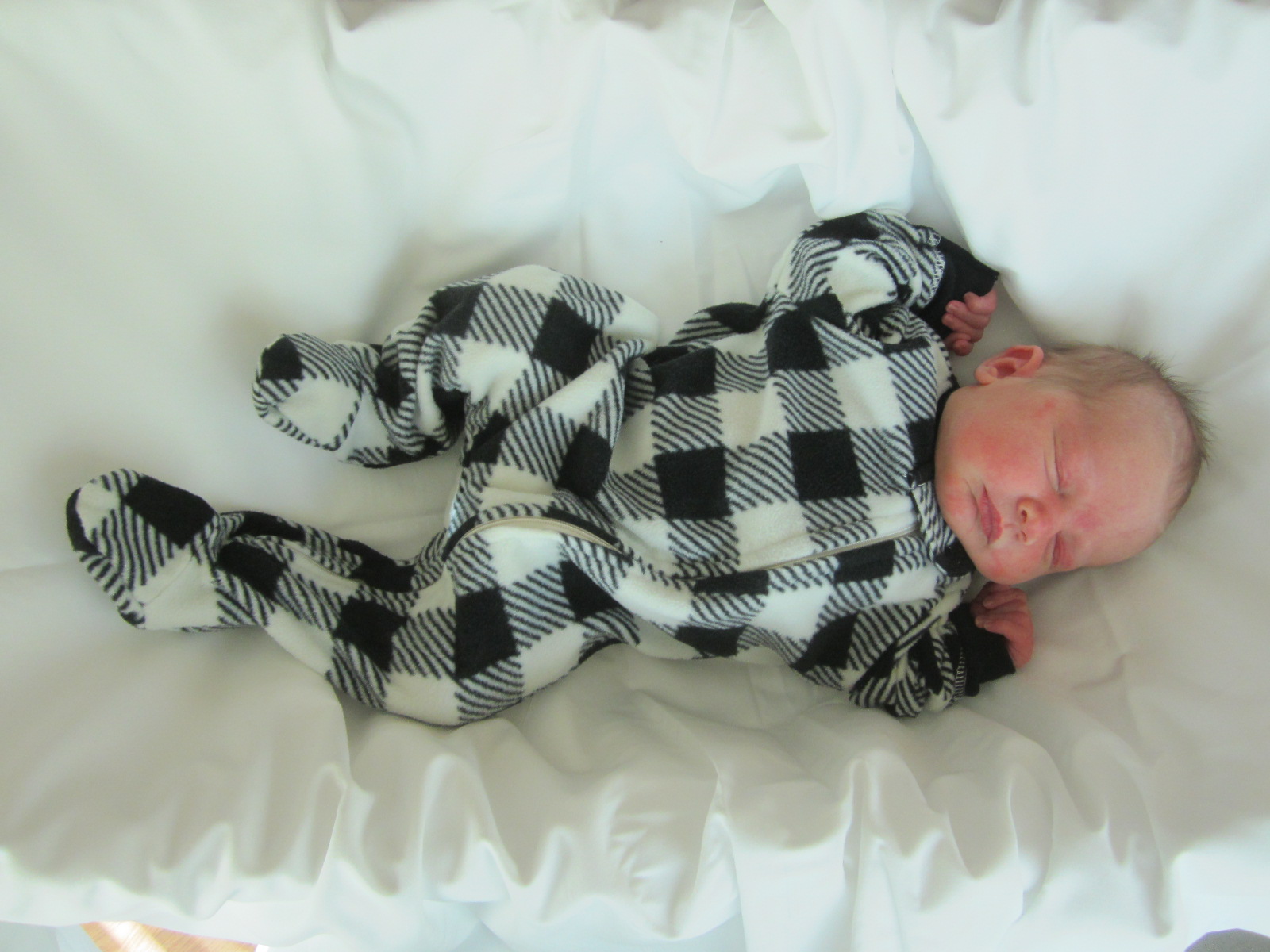 Brooks Wylder