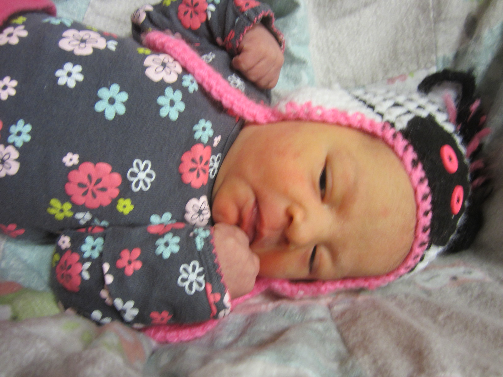 Wynter Aria