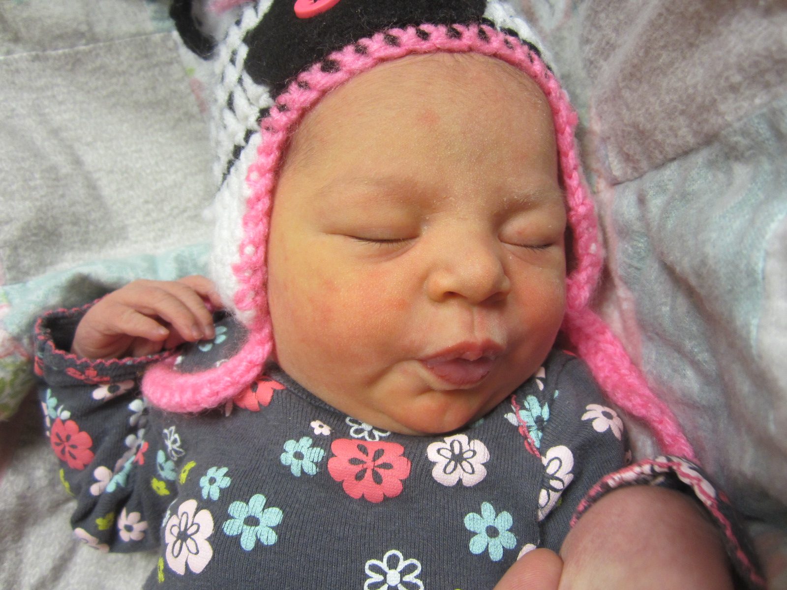 Wynter Aria
