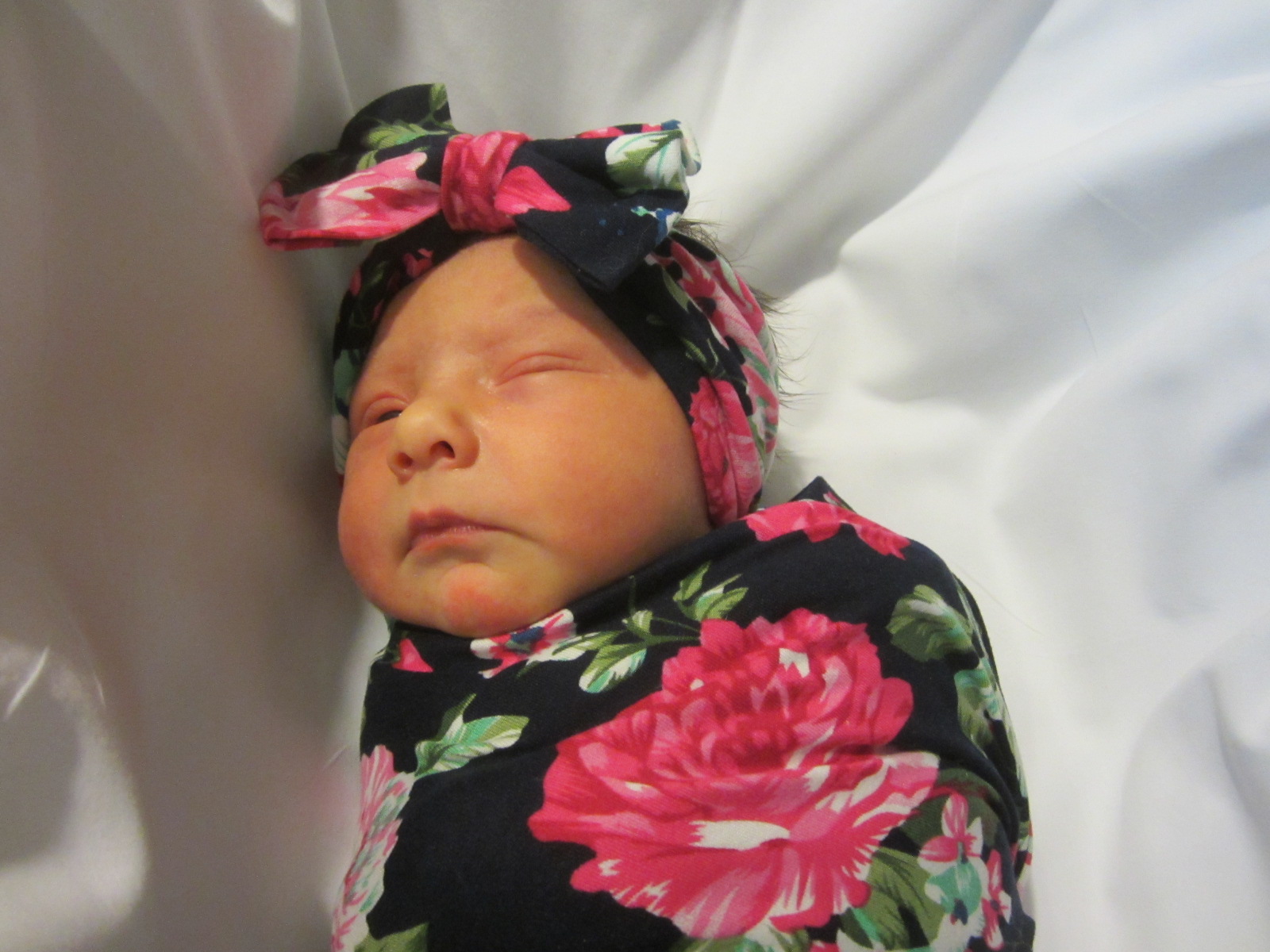 Jenalee Marie Sue