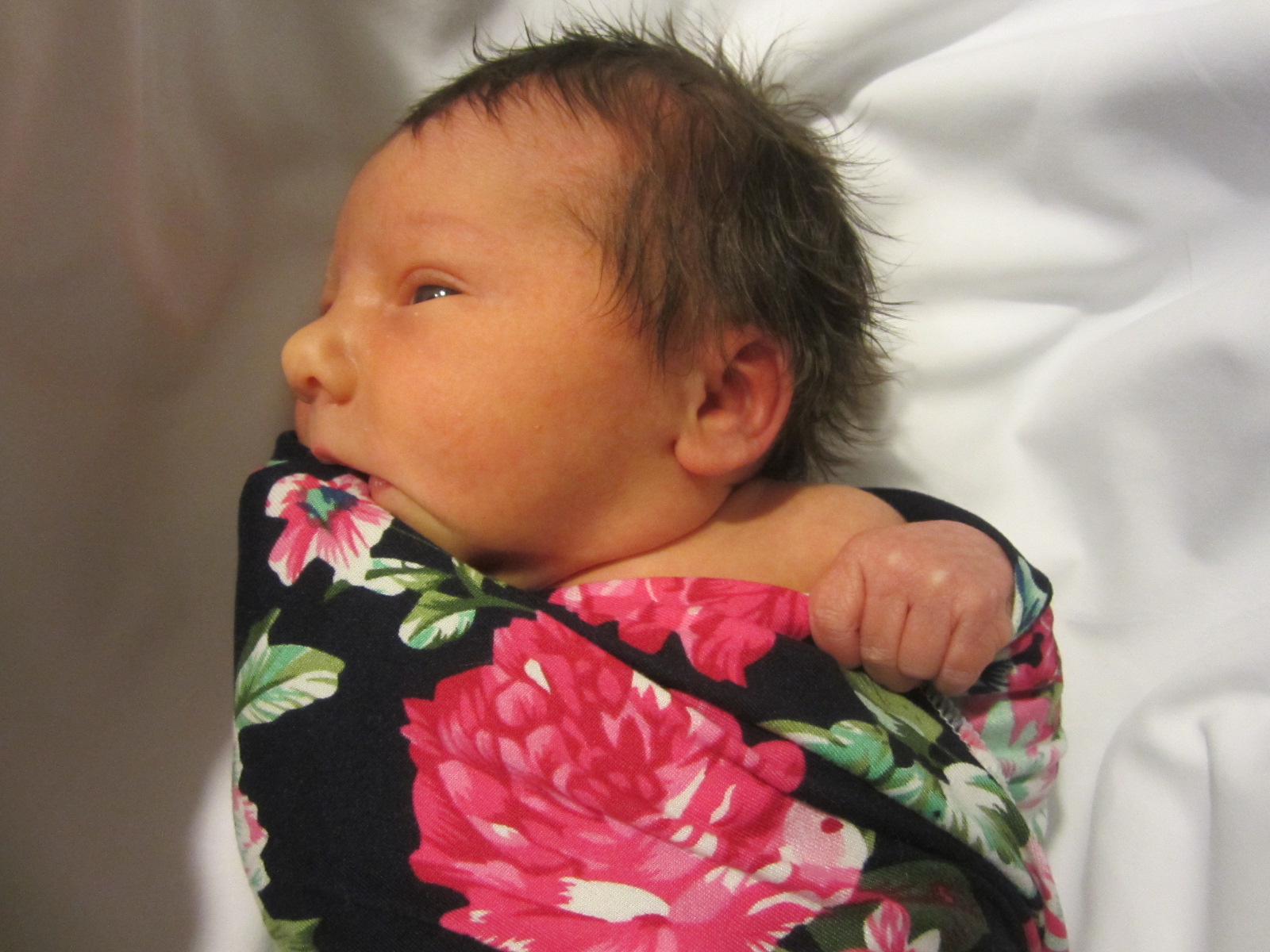 Jenalee Marie Sue