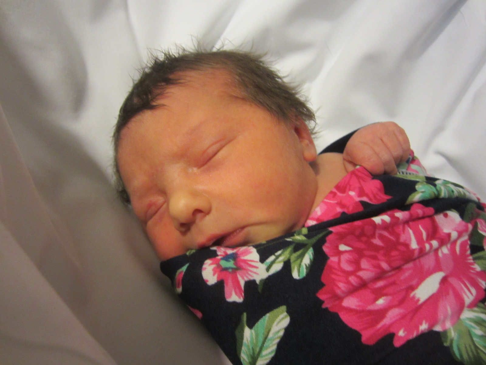 Jenalee Marie Sue