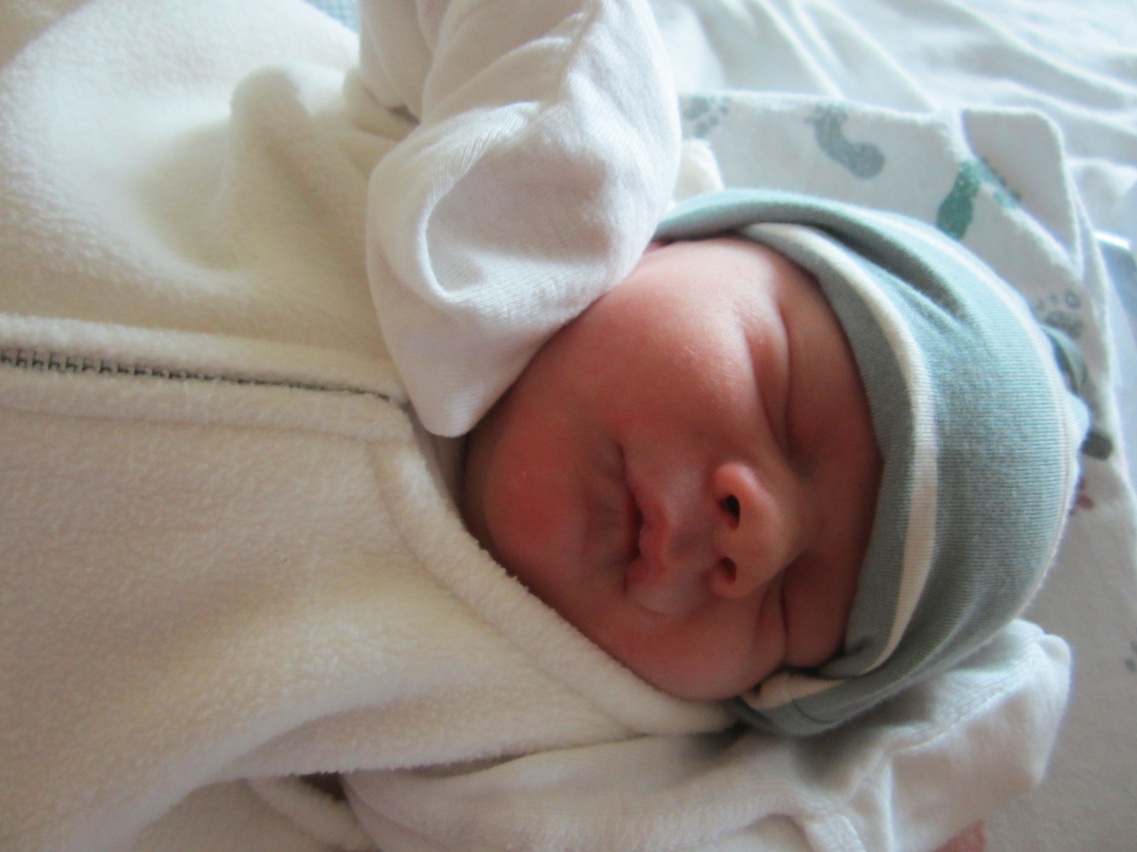 Ryan Louis