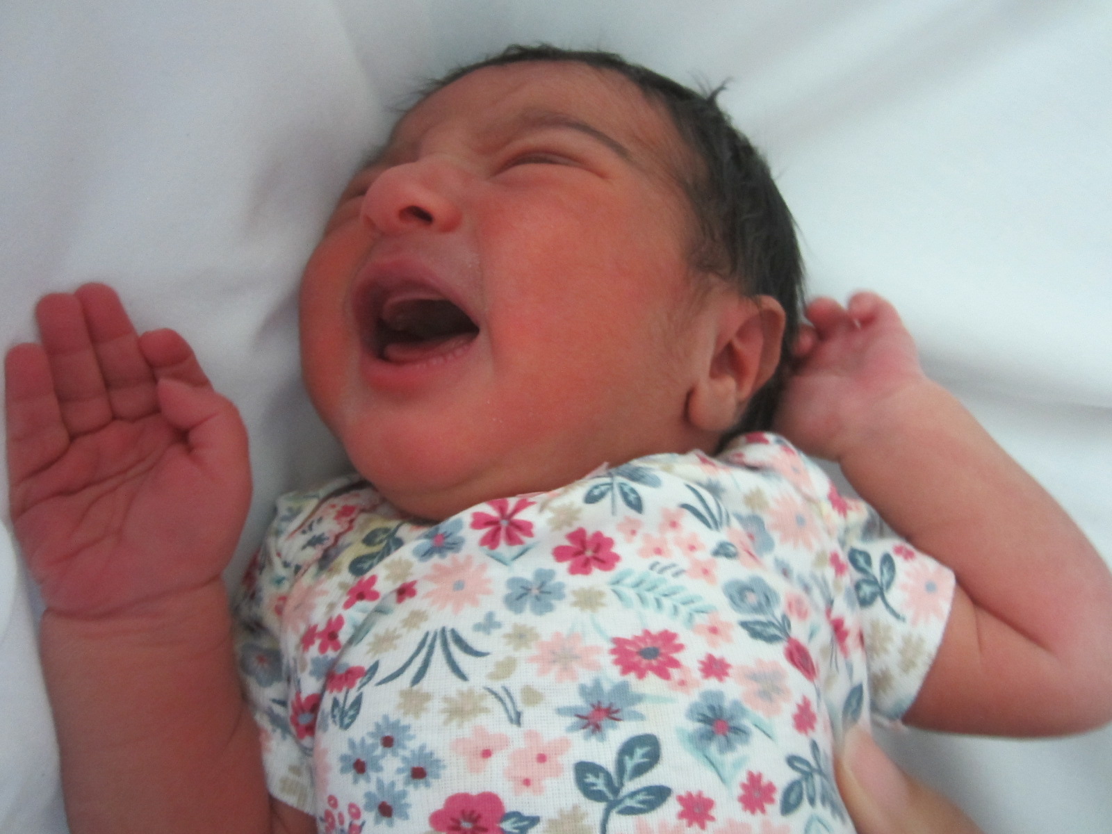Tala Ahmed