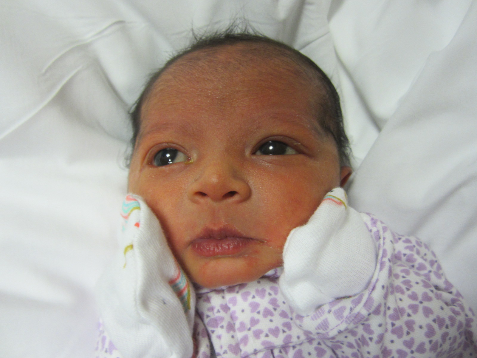 Abrisha 