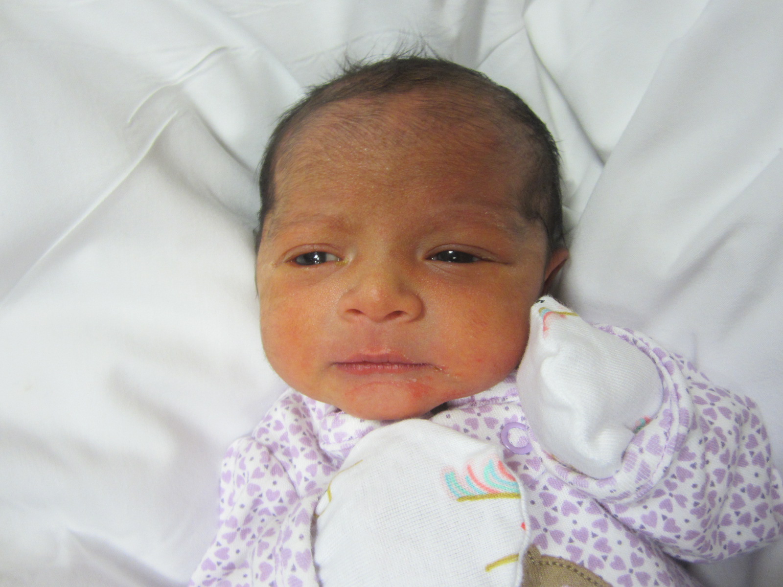 Abrisha 
