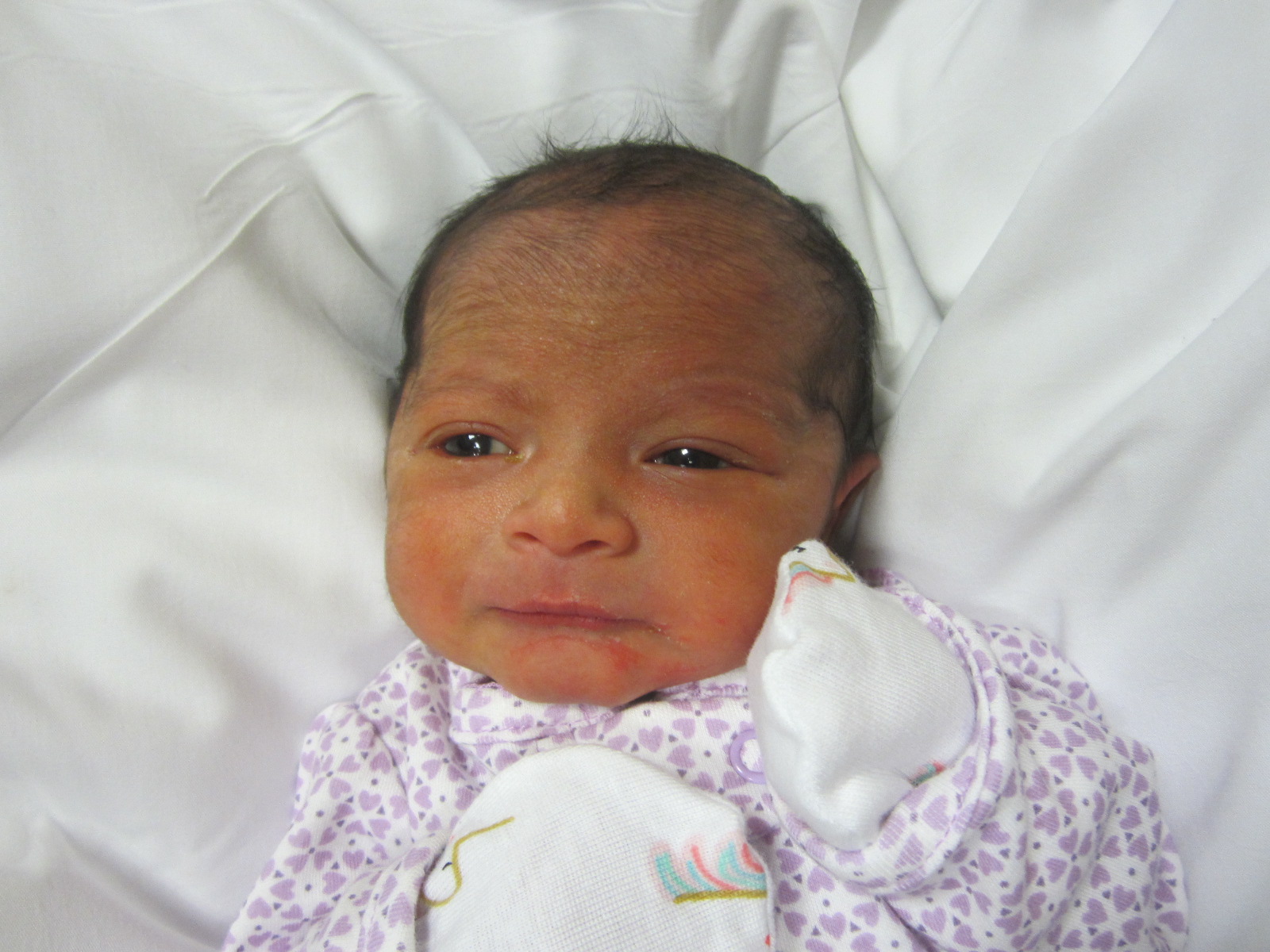 Abrisha 