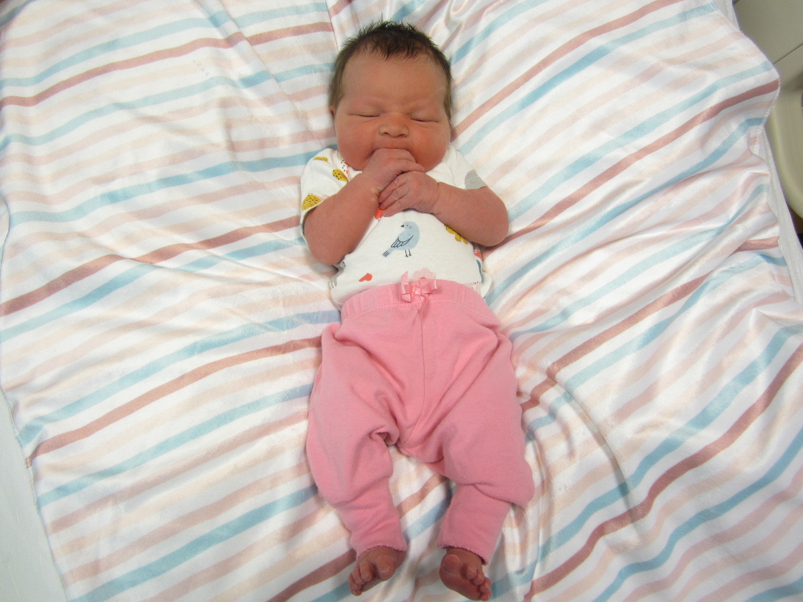 Daleny Evelyn
