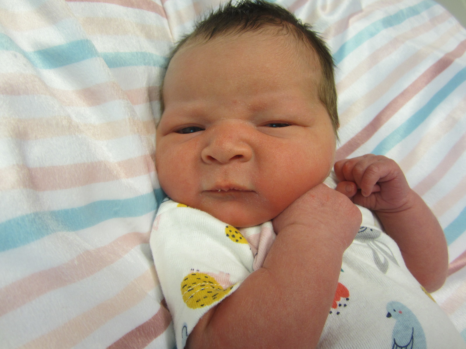 Daleny Evelyn