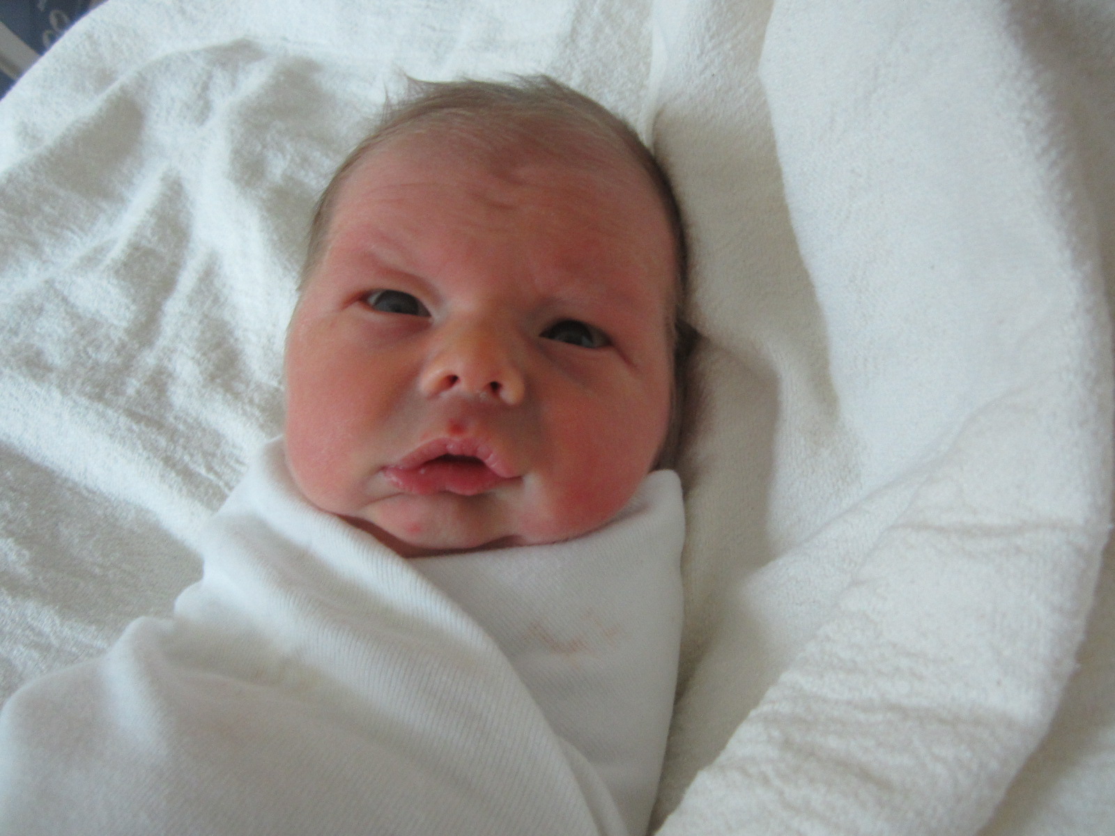 Wade William Lyle