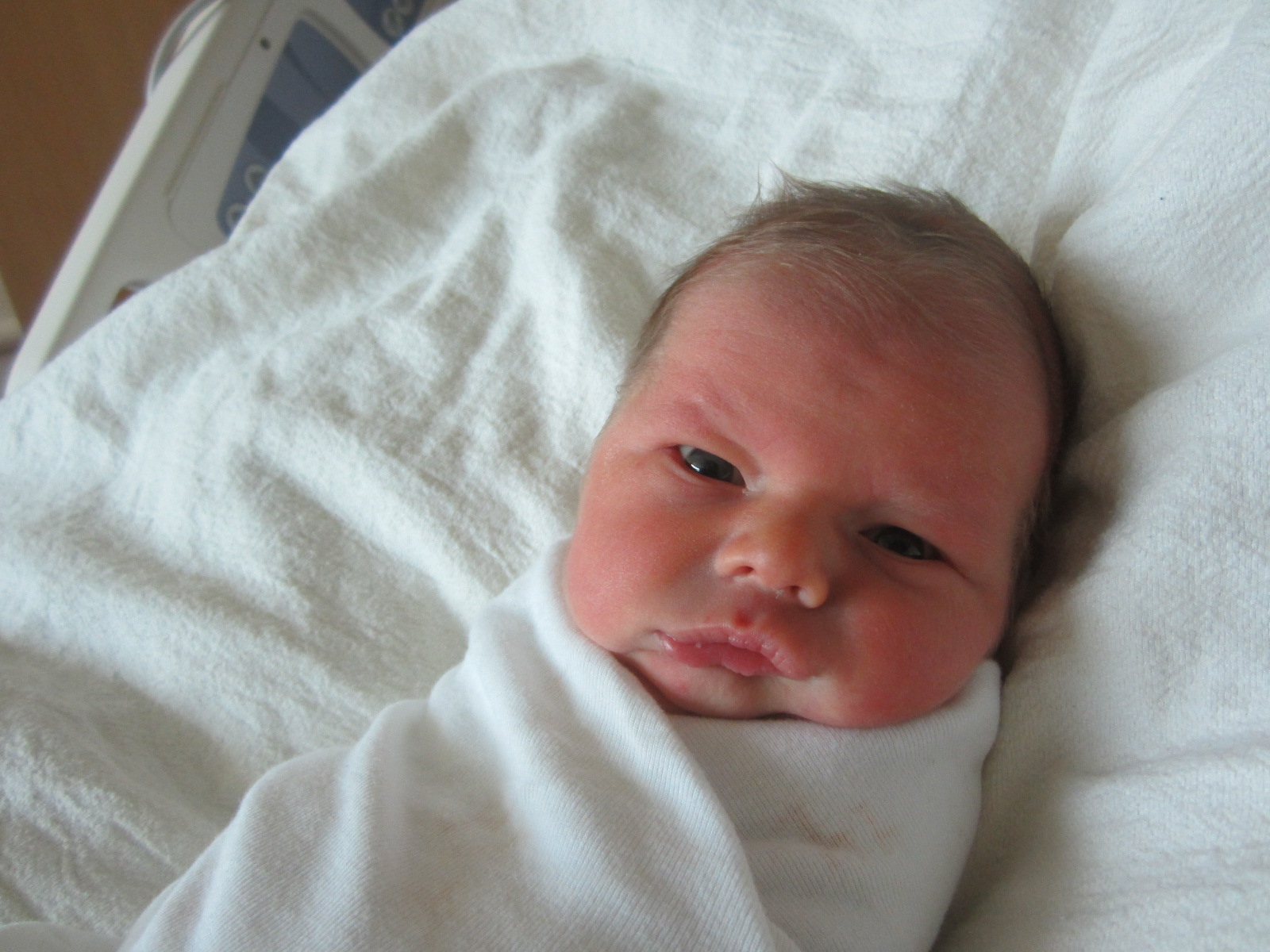 Wade William Lyle