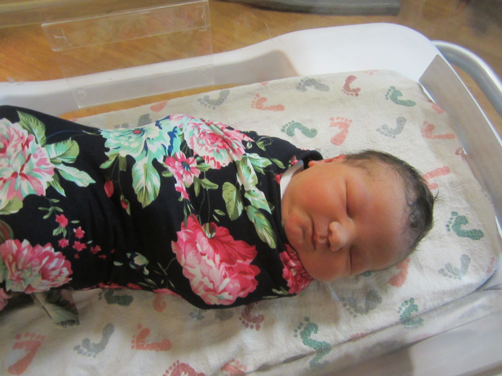 Shiloh Ann