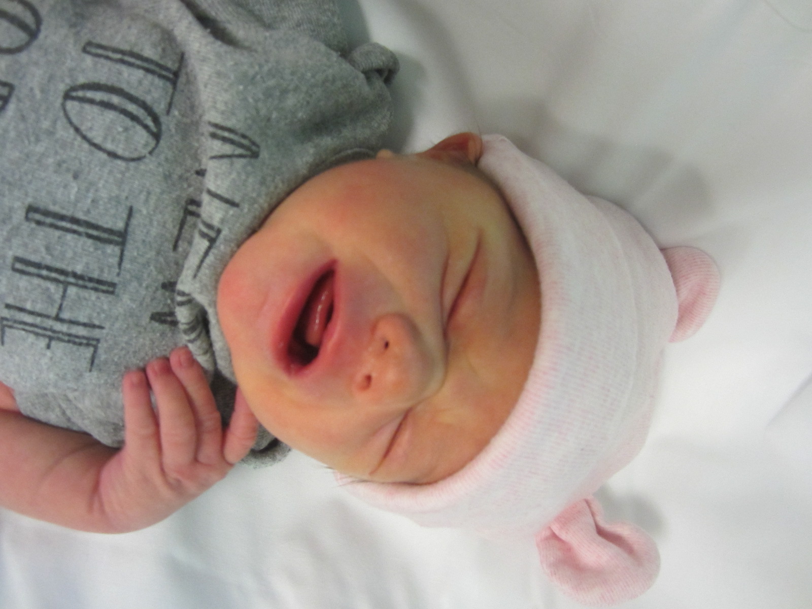 Elliott Anne