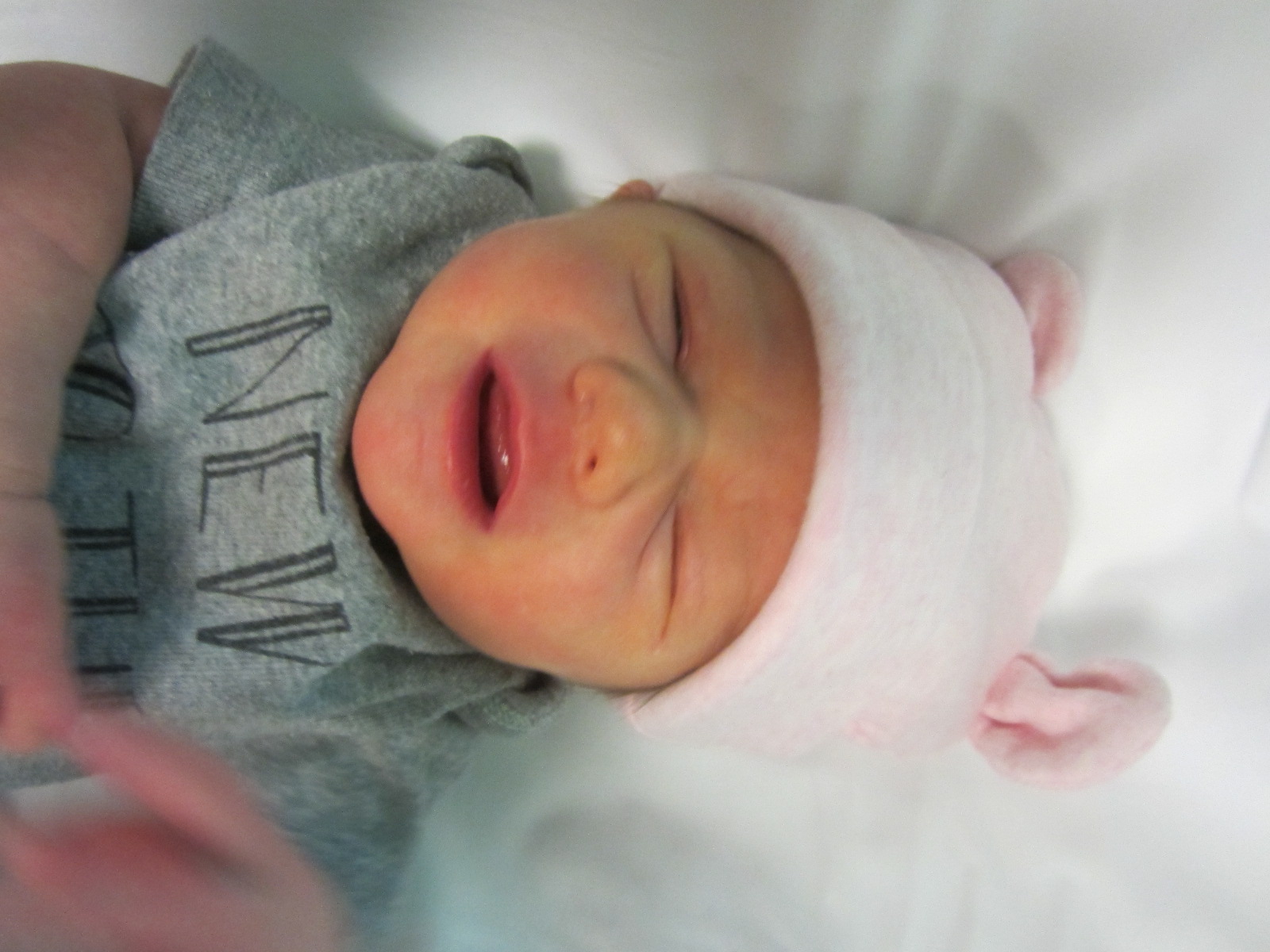 Elliott Anne