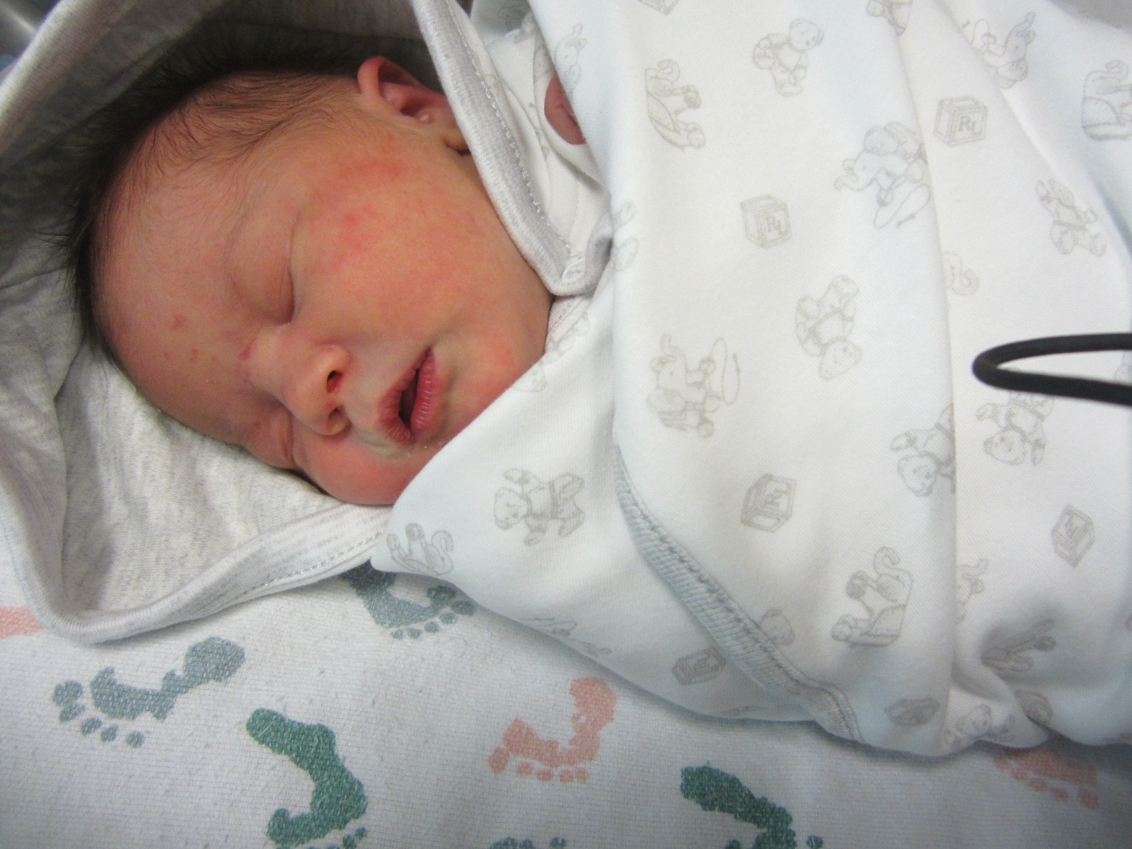 Penelope Ann