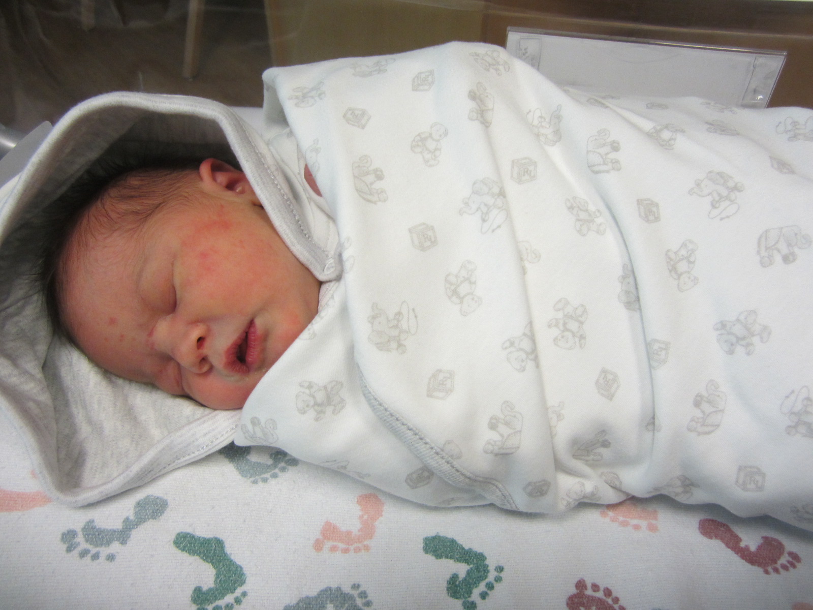 Penelope Ann
