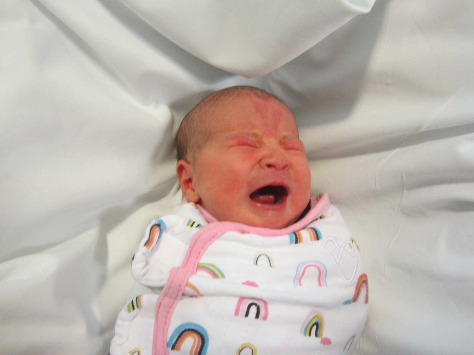 Delfina Kona