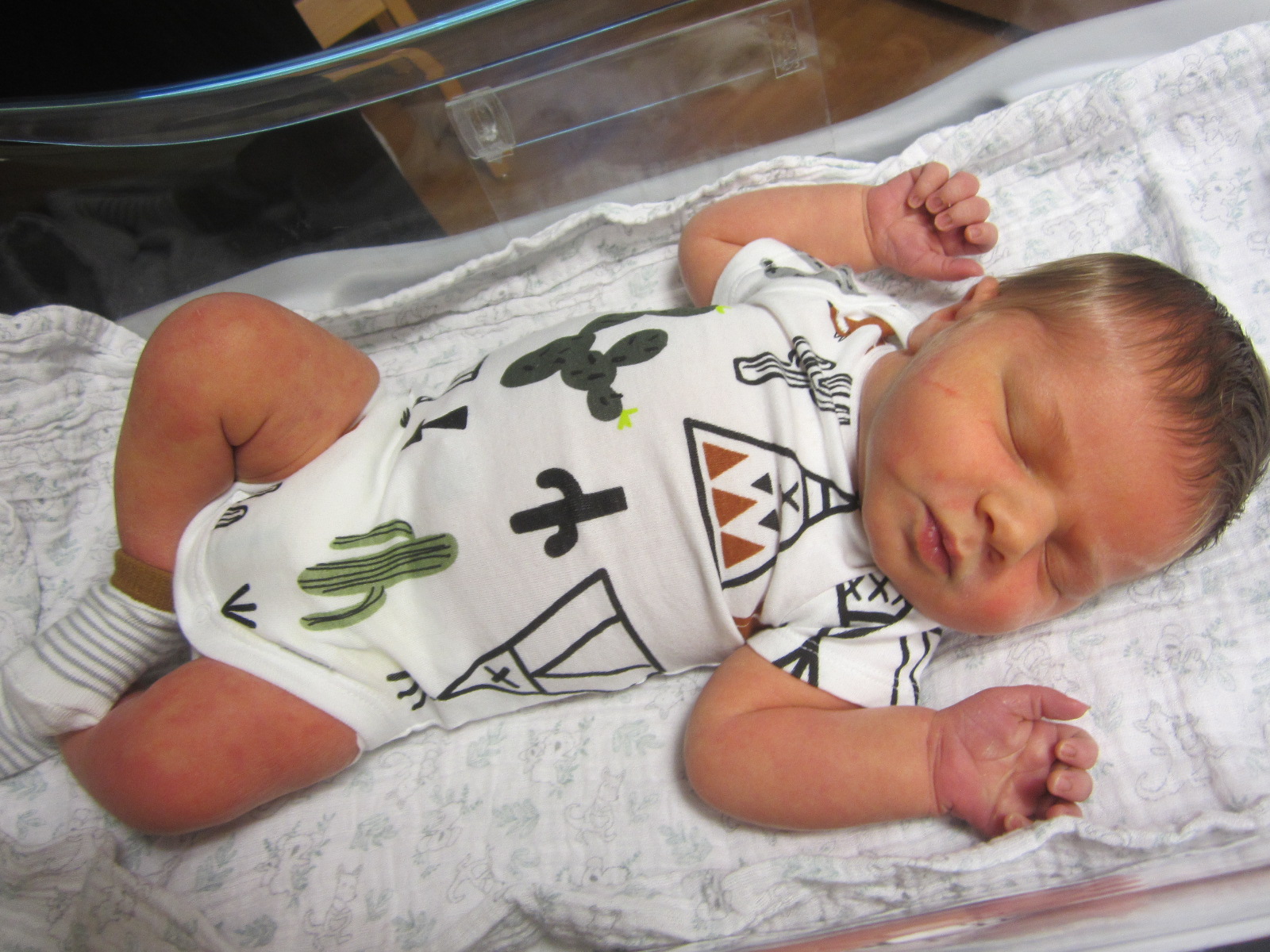 Finnegan Isaac Lee