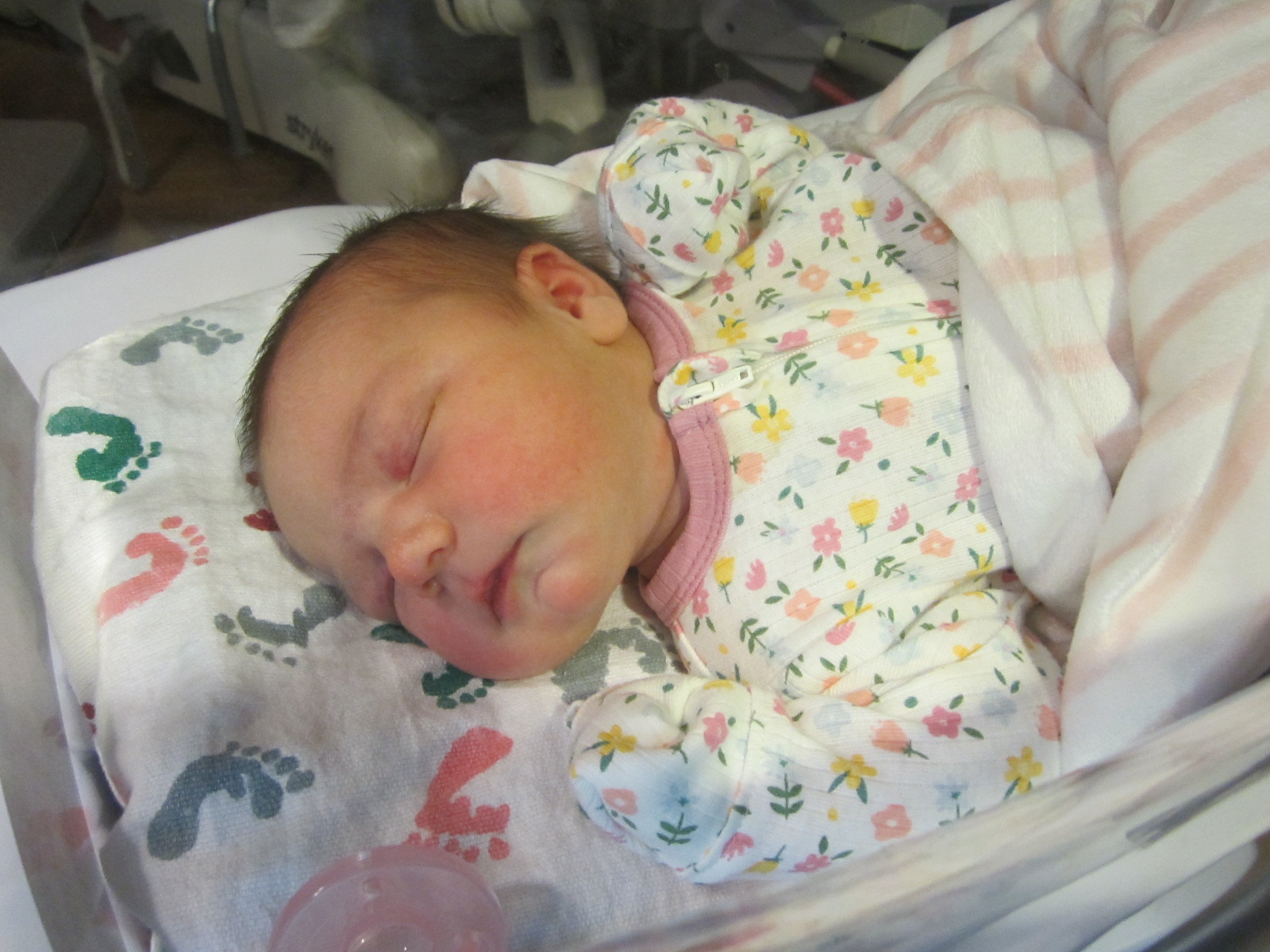 Paislee Bylan