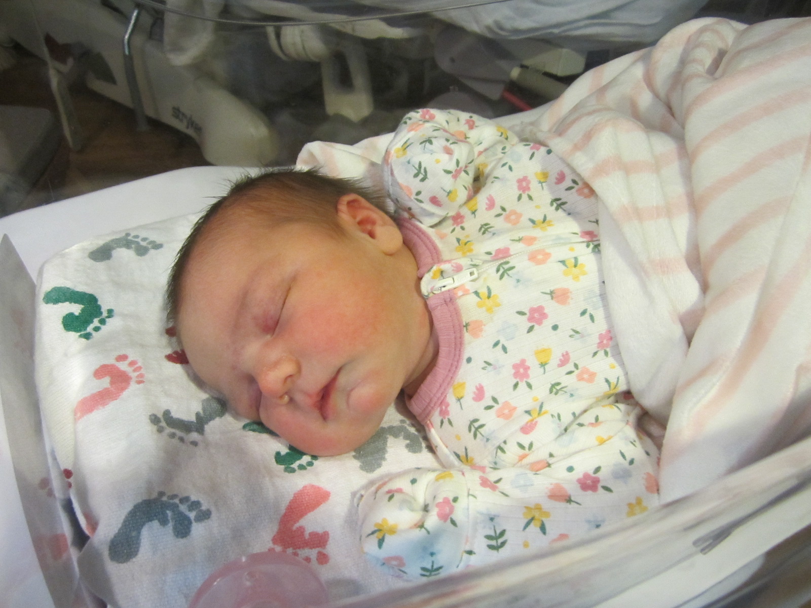 Paislee Bylan