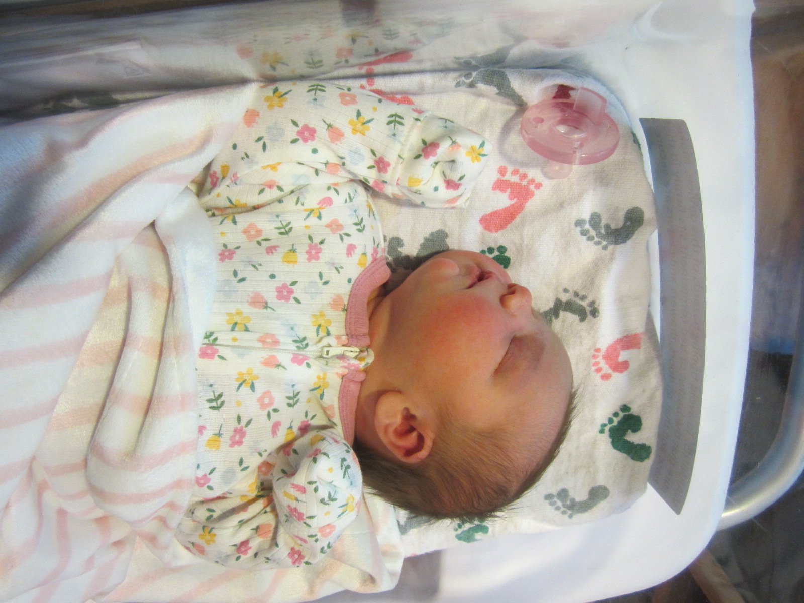 Paislee Bylan