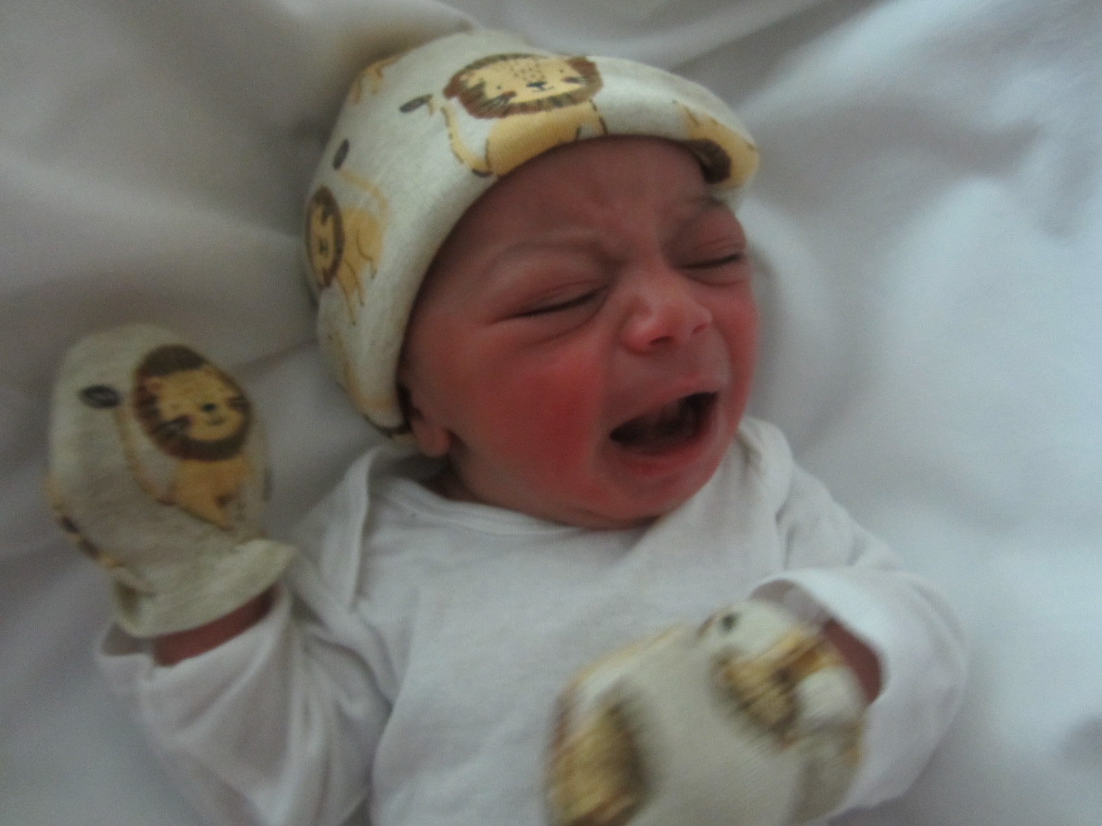 Ye'AB Demeke
