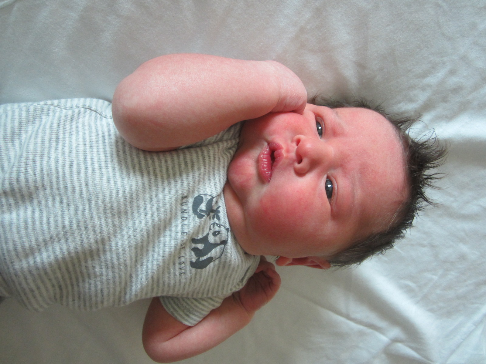 Angus James