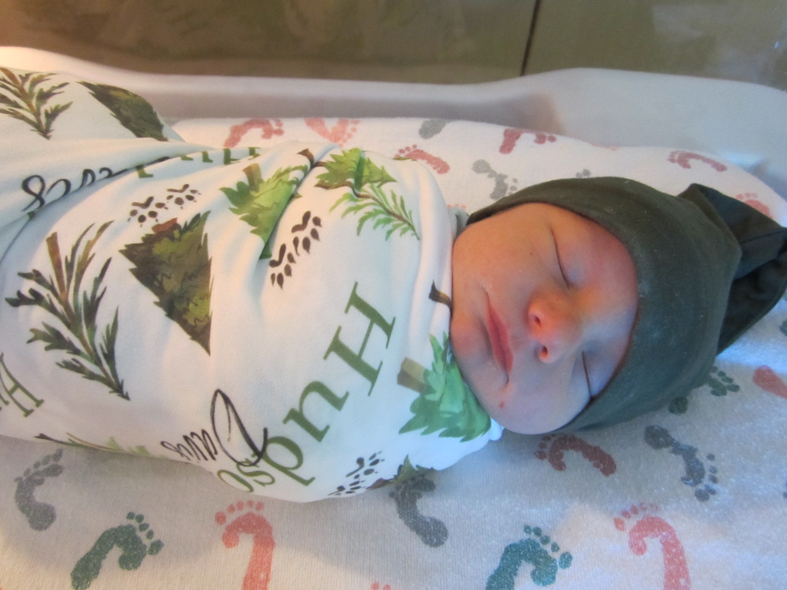 Hudson Davis