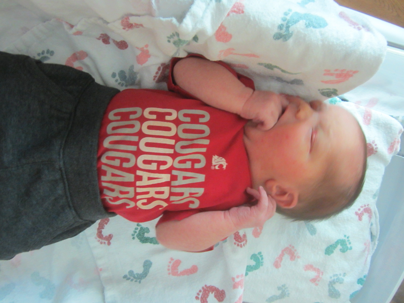  Jackson Timothy 
