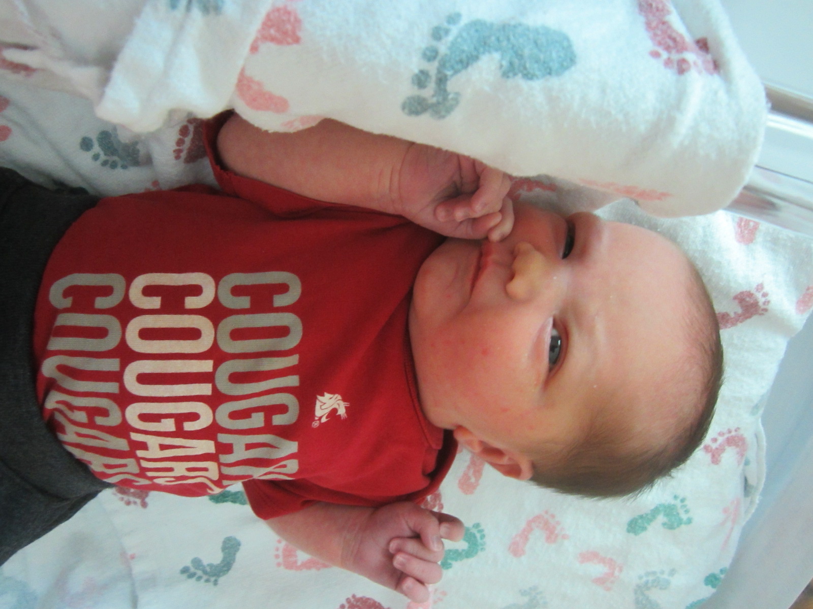  Jackson Timothy 