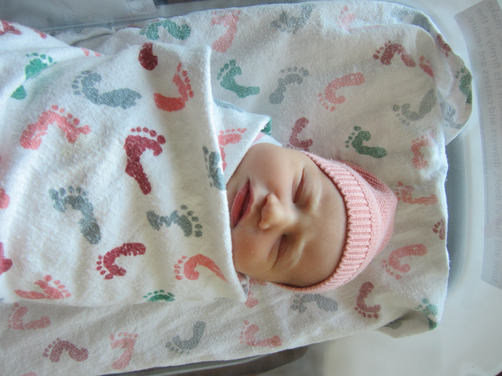 Kish Catherine