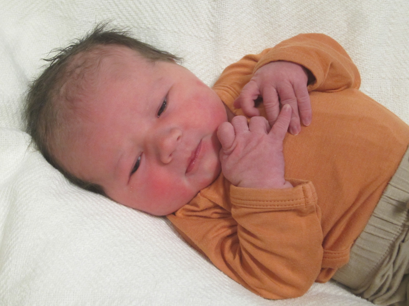 Asher Daniel 