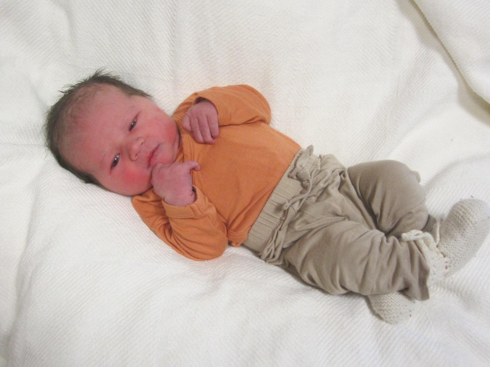 Asher Daniel 