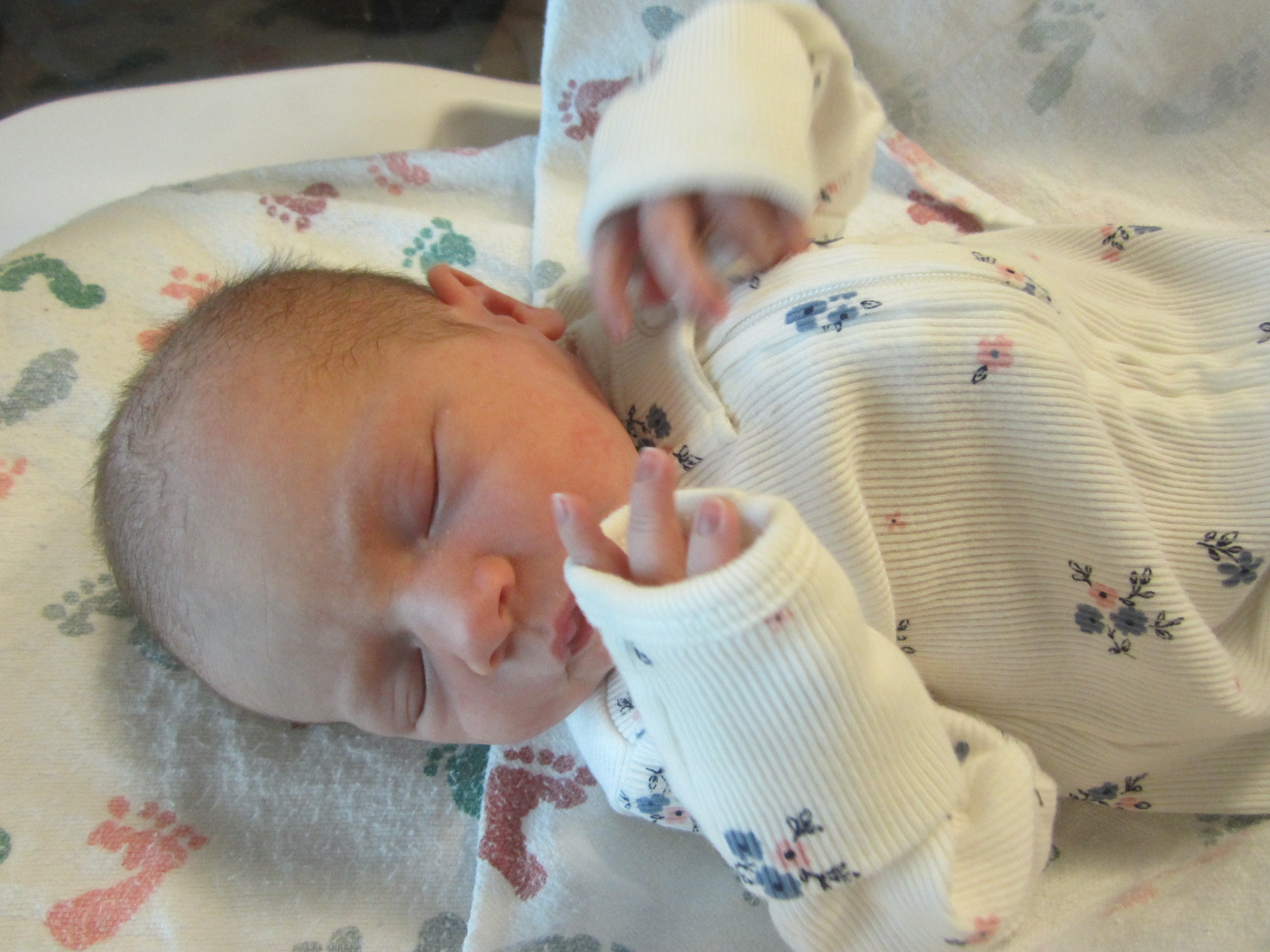 Emersyn Michelle