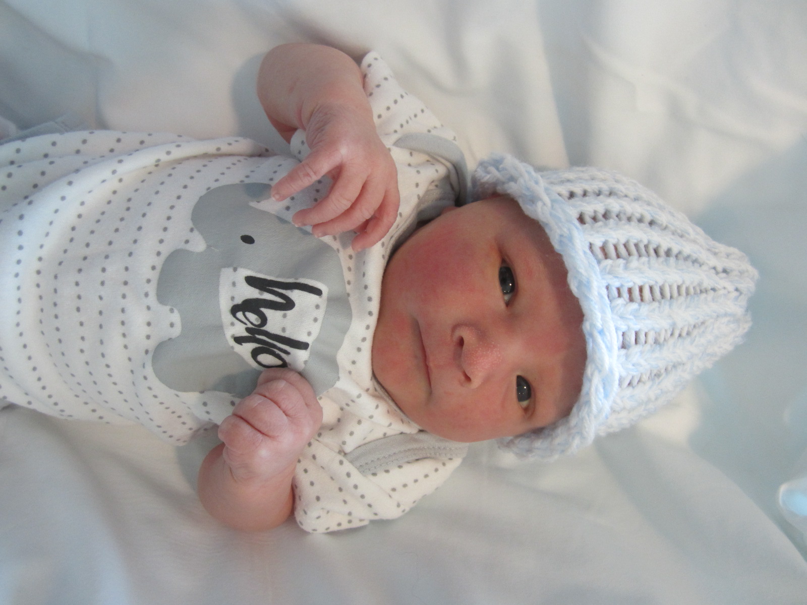 Brody Austin