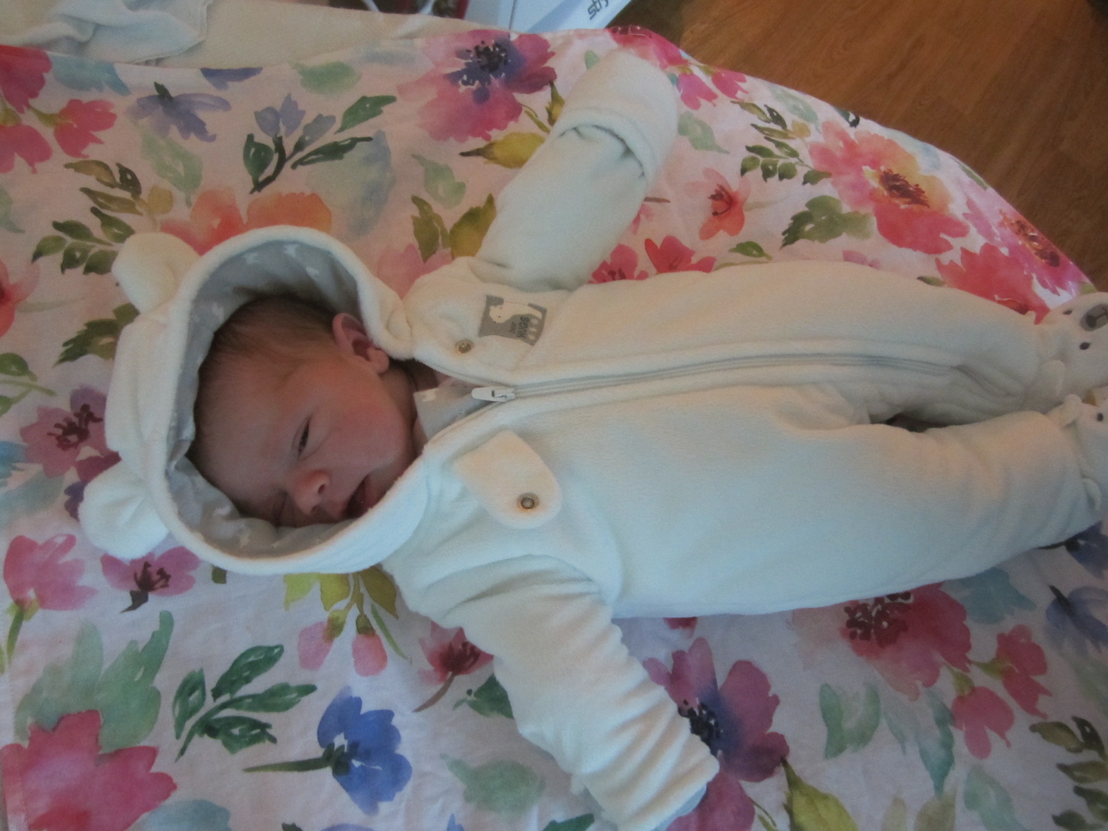 Abigail Rose