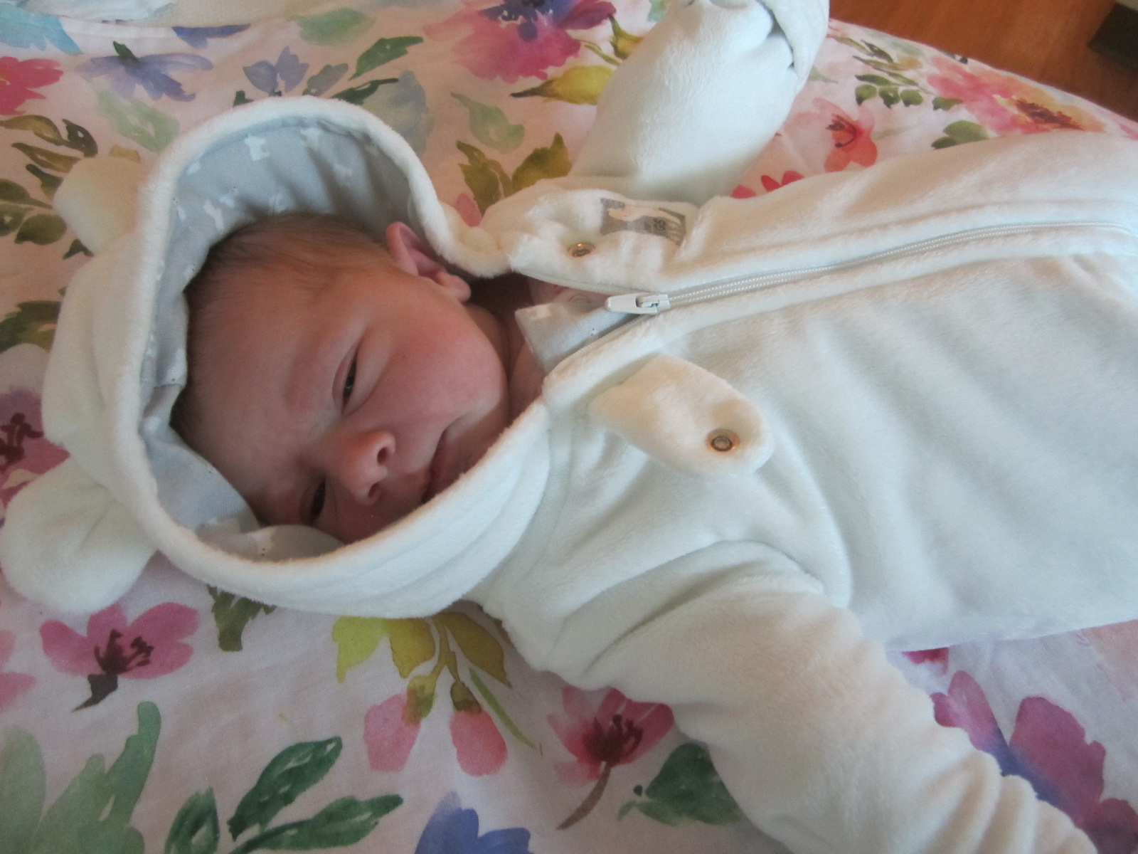 Abigail Rose
