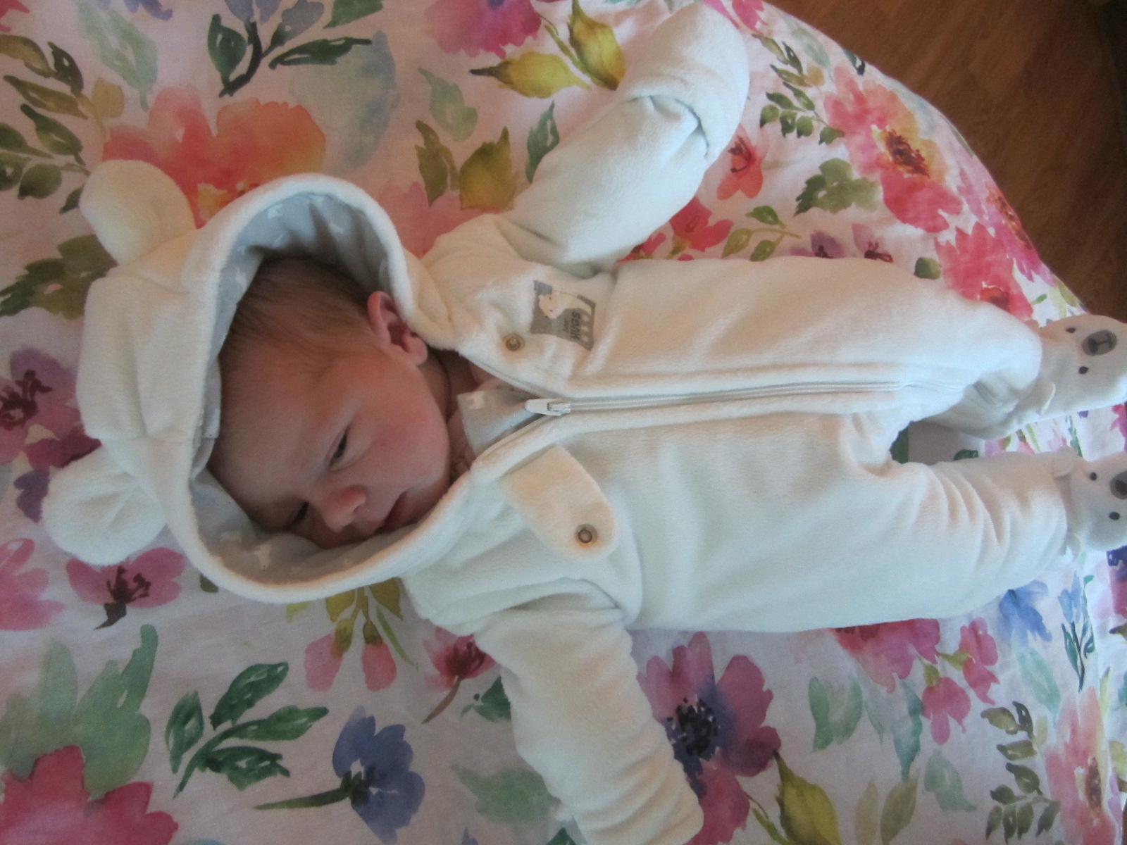 Abigail Rose